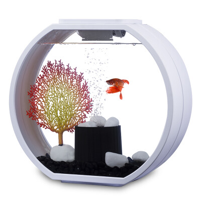 

AA Aquarium Aquarium Aquarium Taste Design Round Glass Gold Tank LED Light Touch Deco O mini White