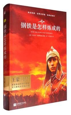 

亲近经典·语文新课标必读丛书：钢铁是怎样炼成的（精装·全译本·彩版）
