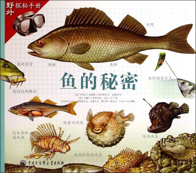 

鱼的秘密/野外探秘手册