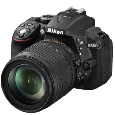 

Никон (Nikon) D5300 Kit (AF-S 18-140mmf / 3.5-5.6G ED VR объектив)