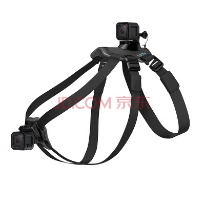 

GoPro sports camera accessories