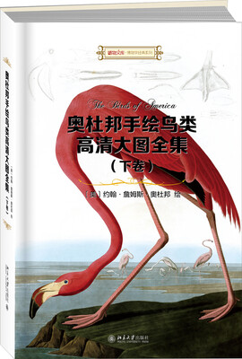 

奥杜邦手绘鸟类高清大图全集（典藏版）