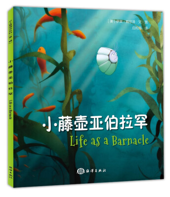 

小藤壶亚伯拉罕