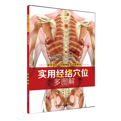

实用经络穴位多图解
