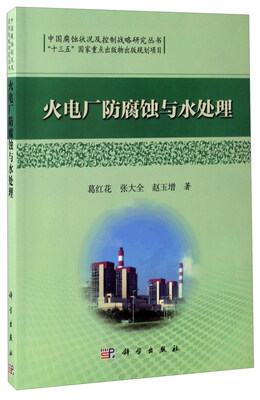 

火电厂防腐蚀与水处理/中国腐蚀状况及控制战略研究丛书