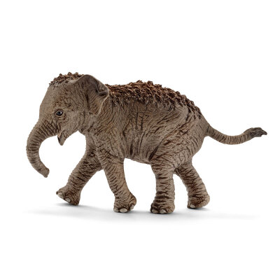 

Schlech Schleich German brand children's toys hand-painted animal simulation of wild animals - small elephant (old and new mixed) SCHC14755