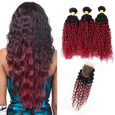 

10in- 30in Burgundy Brazilian Hair Ombre Hair Extensions 3 Bundles Curly Burgundy Brazilian Hair Human Ombre Hair Wave with closur