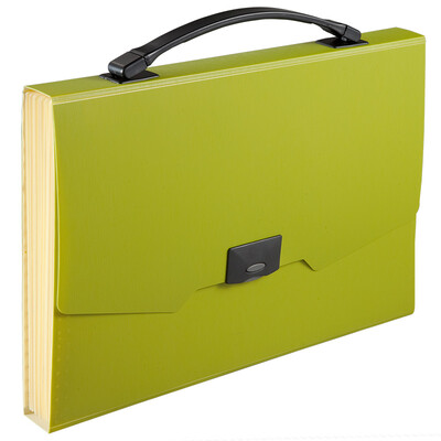 

Coix A4 13 bags ARMOR portable organ bag information package file package A3113 green