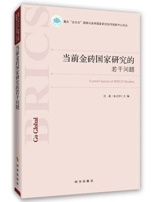 

当前金砖国家研究的若干问题