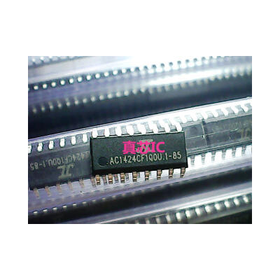 

AC1424CF AC1424CF1QOU.1-85 AC1424CF1P13.1-85