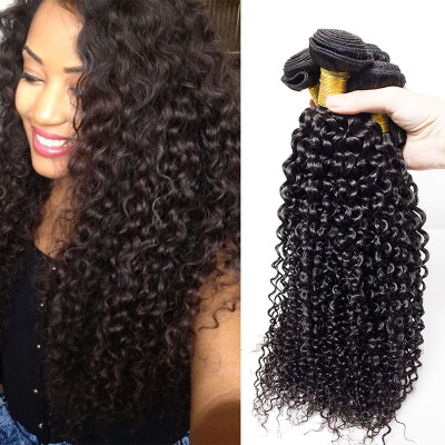 Brazilian Kinky Curly Virgin Hair 4 Bundle Deals Unprocessed Virgin Brazilian Curly Hair Weave Human Hair Extensions Virgin Hair