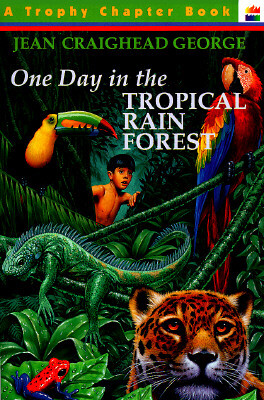 

One Day in the Tropical Rain Forest