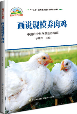 

画说规模养肉鸡