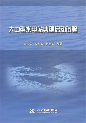 

大中型水电站典型启动试验
