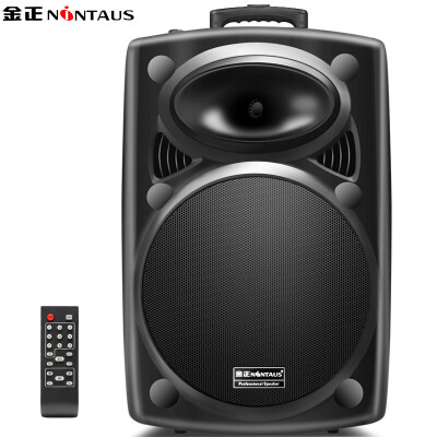 

Jinzheng NINTAUS N16 double 5 inch square dance audio Bluetooth outdoor lever speaker portable microphone