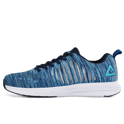 

PEAK mens running shoes lightweight breathable professional sports shoes DH720861 42