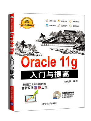 

软件入门与提高丛书：Oracle 11g入门与提高（附光盘）