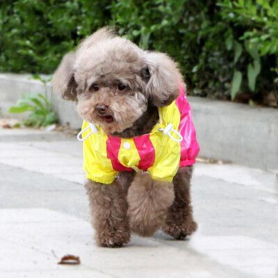 

Petty Bear Trousers Teddy Bears Puppies Dog Dresses Teddy Clothes Pet Dresses Magenta 5