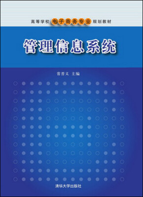 

管理信息系统/高等学校电子商务专业规划教材