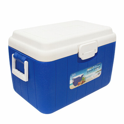

Amausa Car Home Picnic BBQ Fishing Insulation Box Refrigerator 33L Blue