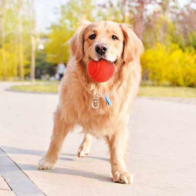 

Huapin Pet (hoopet) solid stretch gold pet pet toys toy teddy teeth large dog rubber resistant bite ball 5cm