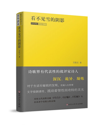 

看不见雪的阴影