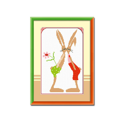 

embroider DIY DMC Cross stitch,Sets For Embroidery kits Dear rabbit factory direct sale