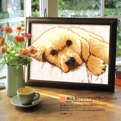 

embroider DIY DMC Cross stitch,Sets For Embroidery kits Calm puppy factory direct sale