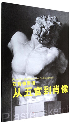 

石膏像素描：从五官到肖像