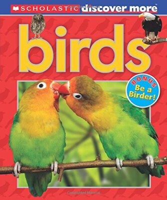 

Scholastic Discover More Birds