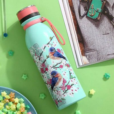 

A Ting Double Wall Vacuum Insulated Stainless Steel Water Bottle 20 oz