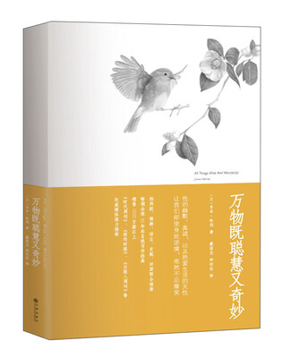 

万物既聪慧又奇妙