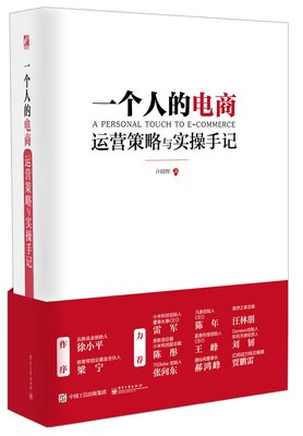 

一个人的电商：运营策略与实操手记（双色）
