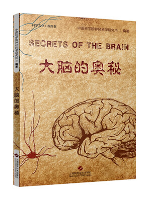 

大脑的奥秘