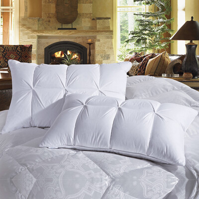 

Hongrun elegant baby pillow five-star hotel textile comfortable pillow 90 white goose down pillow jacquard velvet pillow 74 48cm