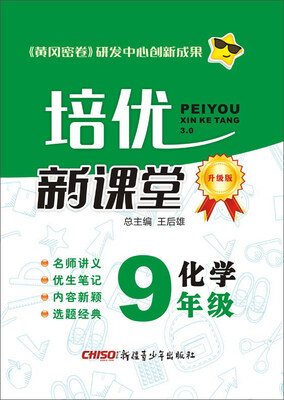 

培优新课堂化学九年级升级版