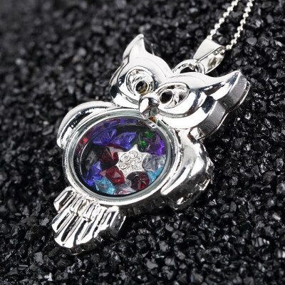 

Cute Floating Glass Crystal Birthstone Living Memory Locket Necklace Charm
