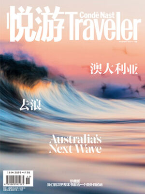 

悦游 Condé Nast Traveler（2017年11月号）