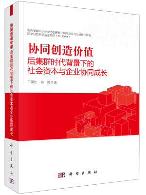 

协同创造价值后集群时代背景下的社会资本与企业协同成长