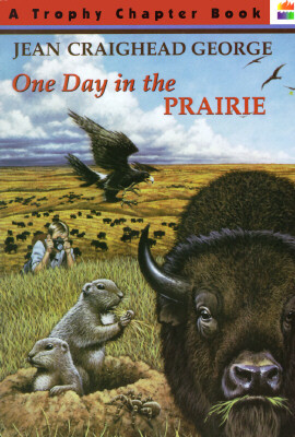 

One Day in the Prairie Trophy Chapter Book
