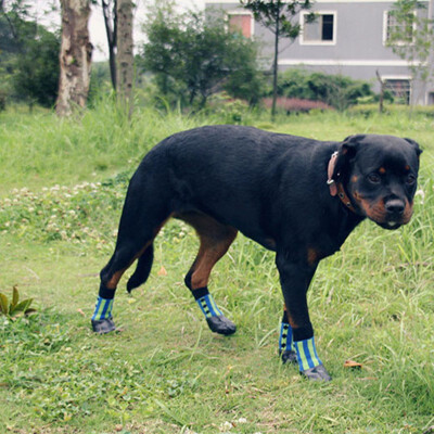 

Dog Socks Anti Slip with Straps Traction Control