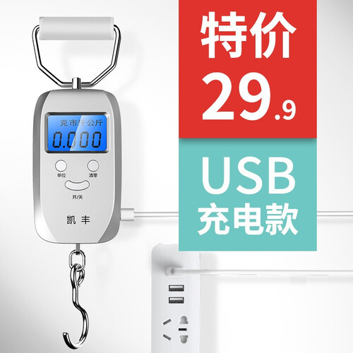 凯丰 迷你手提电子秤 50kg便携式高精度家用快递称 弹簧秤行李称 【升级USB充电款】银色