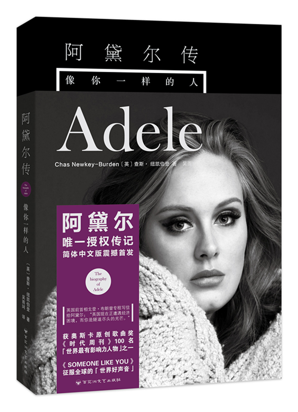 Adele Biography People like you