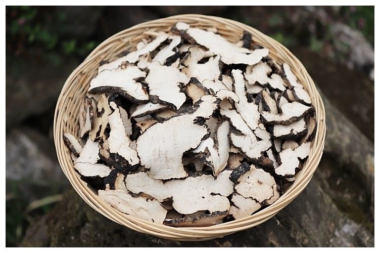 猪苓野生猪苓片猪屎苓豕苓粉猪苓猪茯苓猪灵芝猪苓菌 猪苓【500克】