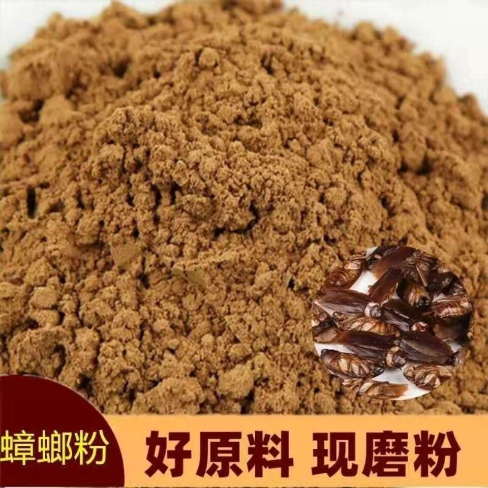 精选伟博中药材蟑螂粉小强粉500克大蠊蟑螂粉蟑螂粉100克