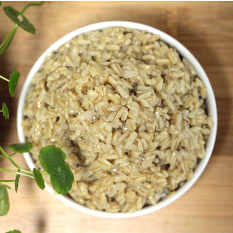 西北甘肃甜胚子兰州天水特产小吃500g甜醅子酒曲真空开袋即食