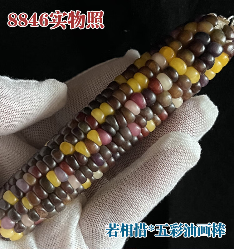 bc20d27afc6ae49d.jpg