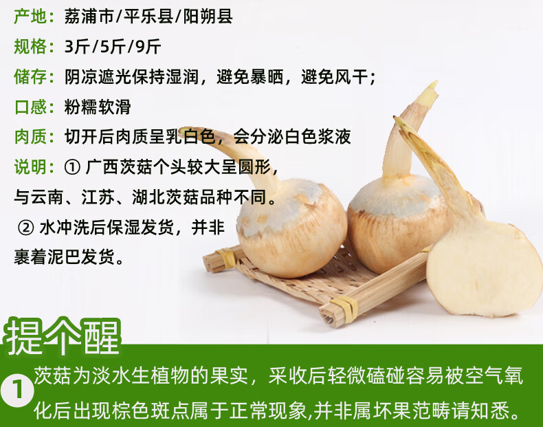 新鲜茨菇广西白茨菰山水恋现挖白慈姑农家蔬菜慈菇塘菇火锅食材2500g