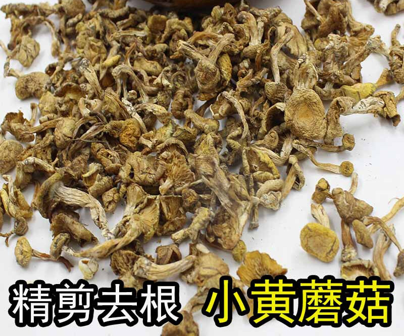 东北特产小黄蘑菇干货小鸡炖蘑菇松树黄油蘑煲汤菌类新鲜500g