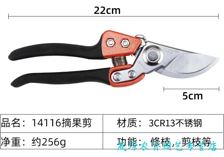 1c71532df00d755a.jpg